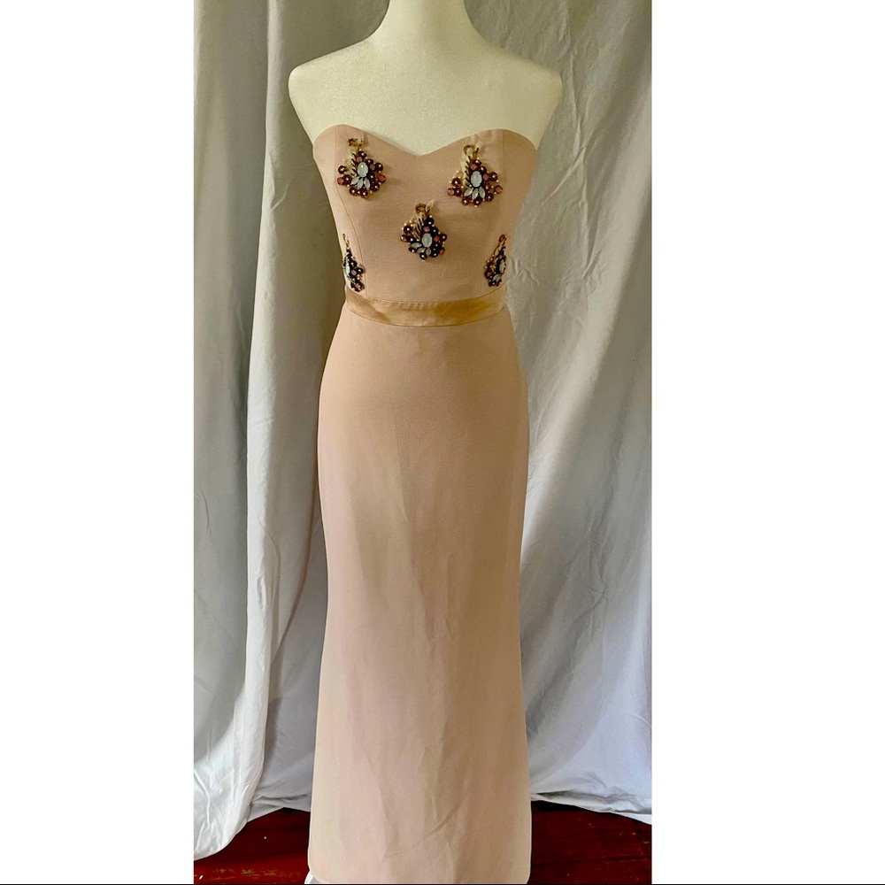 Badgley Mischka Blush Crepe Embellished Gown